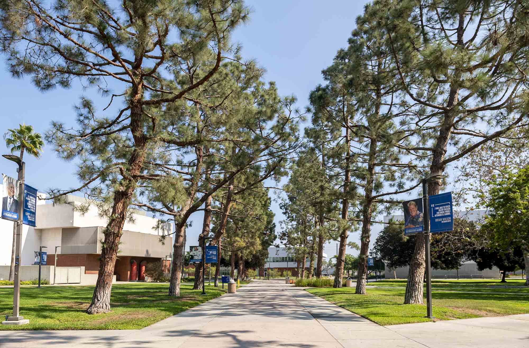 students walking to class at el camino college 